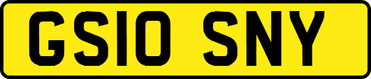 GS10SNY