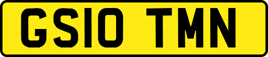 GS10TMN