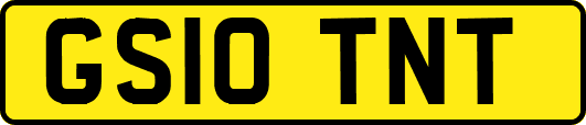 GS10TNT