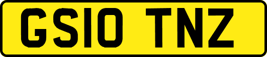 GS10TNZ