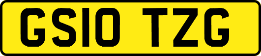 GS10TZG