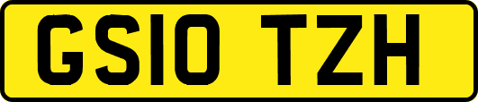 GS10TZH