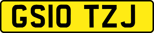 GS10TZJ