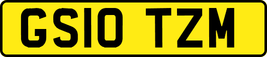 GS10TZM