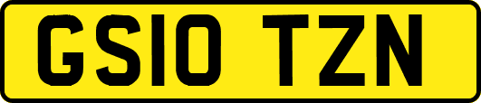GS10TZN