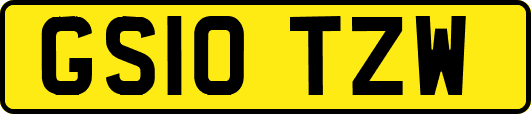 GS10TZW