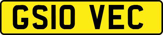GS10VEC