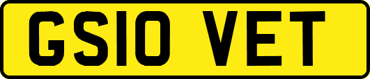 GS10VET