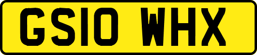 GS10WHX