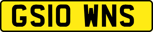 GS10WNS