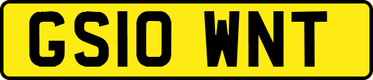 GS10WNT
