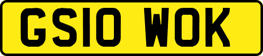 GS10WOK