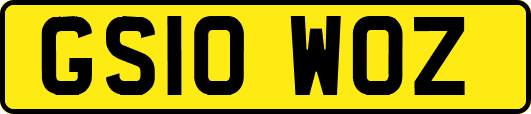 GS10WOZ