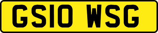 GS10WSG