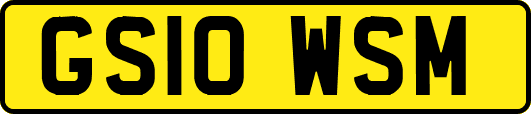 GS10WSM