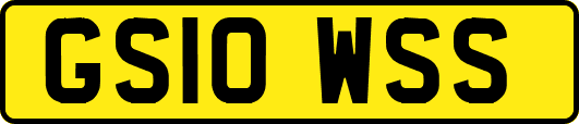 GS10WSS
