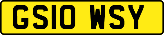 GS10WSY