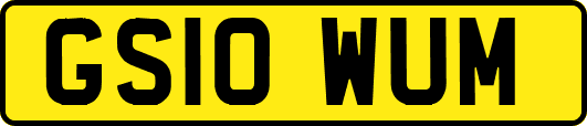 GS10WUM