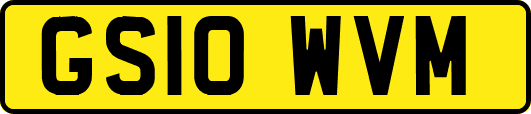 GS10WVM