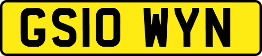 GS10WYN