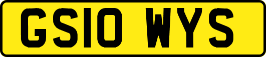 GS10WYS