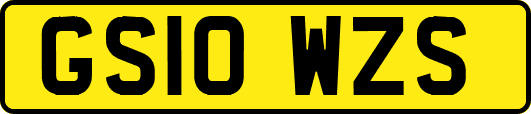 GS10WZS
