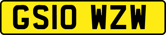 GS10WZW