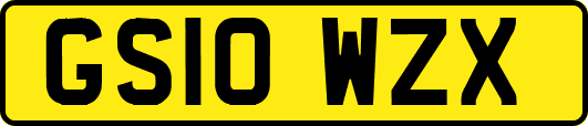 GS10WZX