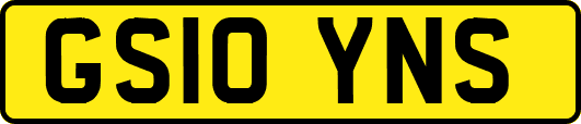 GS10YNS