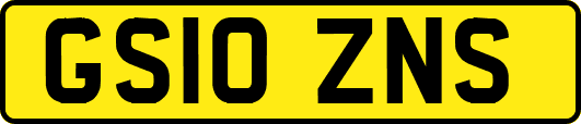 GS10ZNS