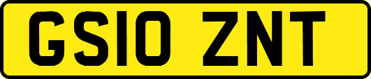 GS10ZNT