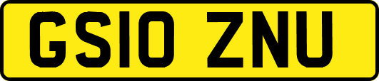 GS10ZNU