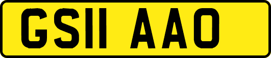 GS11AAO