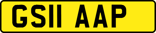 GS11AAP