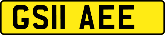 GS11AEE