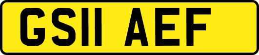 GS11AEF