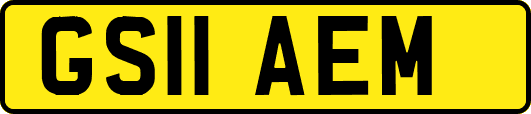 GS11AEM