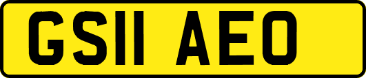 GS11AEO