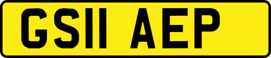 GS11AEP
