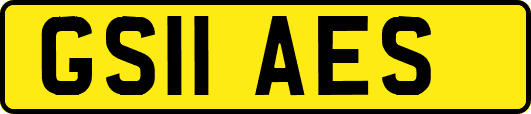 GS11AES