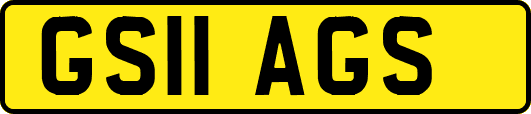 GS11AGS