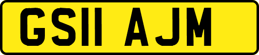 GS11AJM