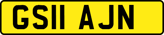 GS11AJN