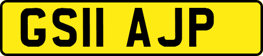 GS11AJP