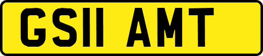 GS11AMT
