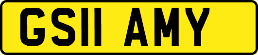 GS11AMY