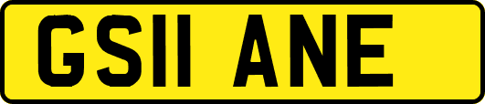 GS11ANE