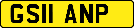 GS11ANP