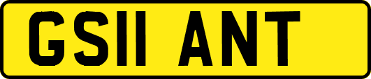 GS11ANT