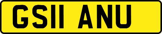GS11ANU